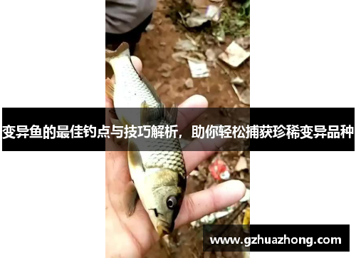 变异鱼的最佳钓点与技巧解析，助你轻松捕获珍稀变异品种